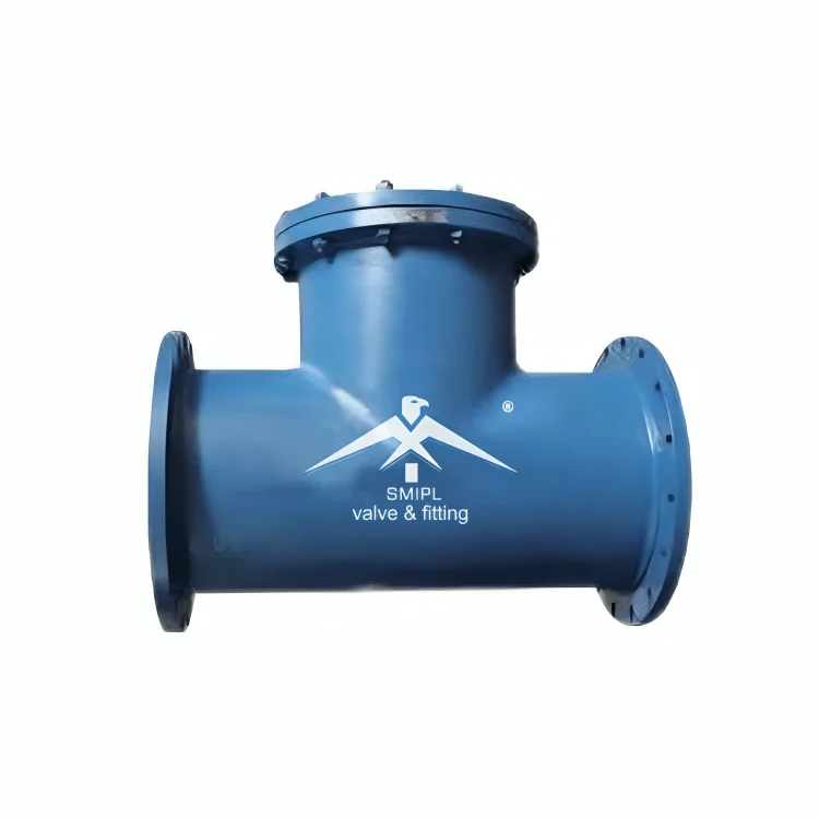 T Type Strainer Manufacturer in India - SMIPL
